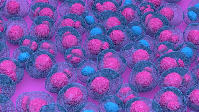 Πολλαπλό Μυέλωμα: Η δεύτερη σε συχνότητα αιματολογική κακοήθεια που λίγοι γνωρίζουν!