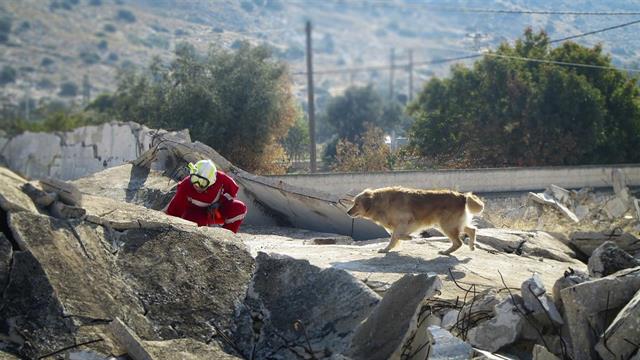 12 σκύλοι έρευνας και διάσωσης της Ελληνικής Ομάδας Διάσωσης εκπαιδεύονται στον Χορτιάτη