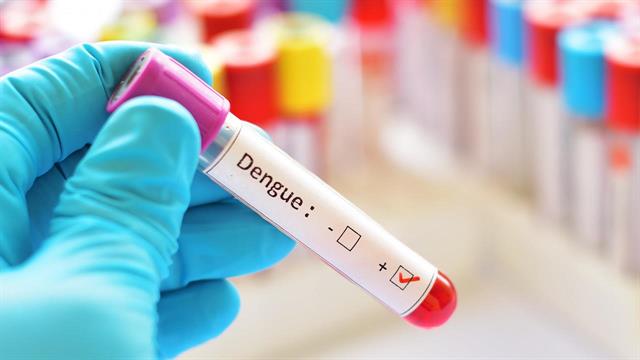 Πειραματικό χάπι για τον δάγκειο πυρετό εμποδίζει τη λοίμωξη σε πειραματόζωα