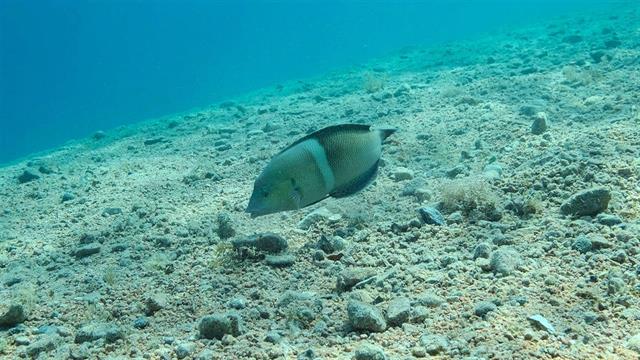 Κάθε φίλτρο τσιγάρου αποτελείται από 15.000 μεμονωμένα νήματα πλαστικών ινών