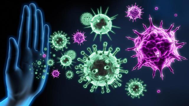 Βραβεία για την εξέλιξη του ανοσοποιητικού  και τα βλαστοκύτταρα