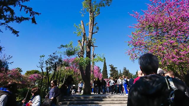 Άνοιξη 2023: Πόσο κινδυνεύω από τον κορωνοϊό