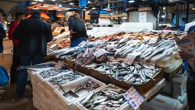 Πώς γίνεται ο υγειονομικός έλεγχος στα θαλασσινά - Εγκύκλιος του υπουργείου Υγείας