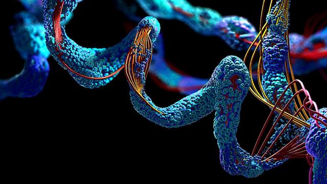 Ερευνητές αναπτύσσουν μικροβελόνες για πρωτεϊνικά φάρμακα