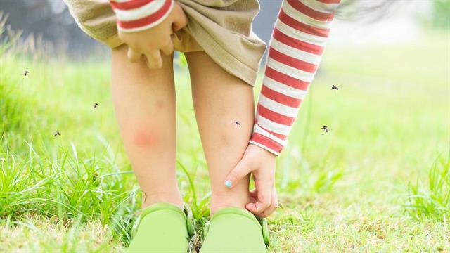 Η κλιματική αλλαγή καθιστά ώριμη την Ευρώπη για εξάρσεις δάγκειου πυρετού