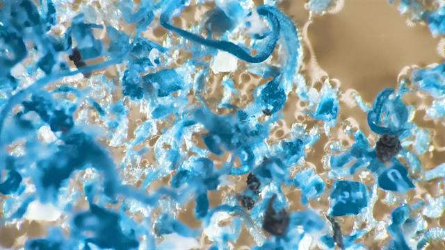 Πώς τα πλαστικά μπουκάλια κάνουν ζημιά στον εγκέφαλο