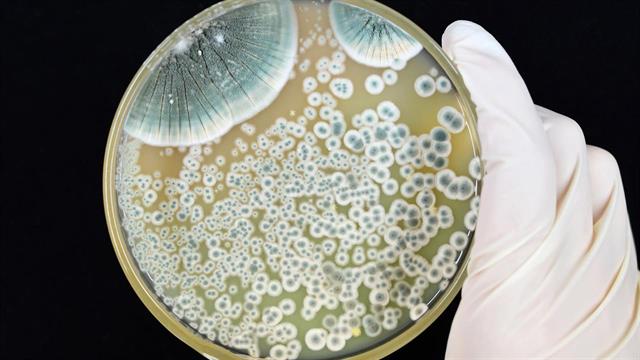 Σοβαρές ελλείψεις σε πενικιλίνη καταγράφονται στις ΗΠΑ