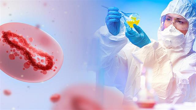 Ένας χρόνος ευλογιά των πιθήκων στην Ευρώπη: Ο ΠΟΥ κρούει τον κώδωνα του κινδύνου