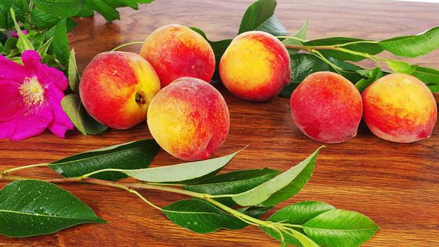 Ροδάκινα: Όσα θέλουμε να ξέρουμε για το καλοκαιρινό φρούτο