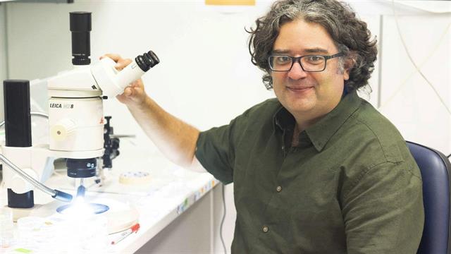 Χρηματοδότηση για ερευνητή του ΙΤΕ από το Επιστημονικό Πρόγραμμα Ανθρώπινα Σύνορα