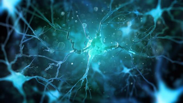 H Crimson International Investment, στρατηγικός επενδυτής στην PD Neurotechnology®