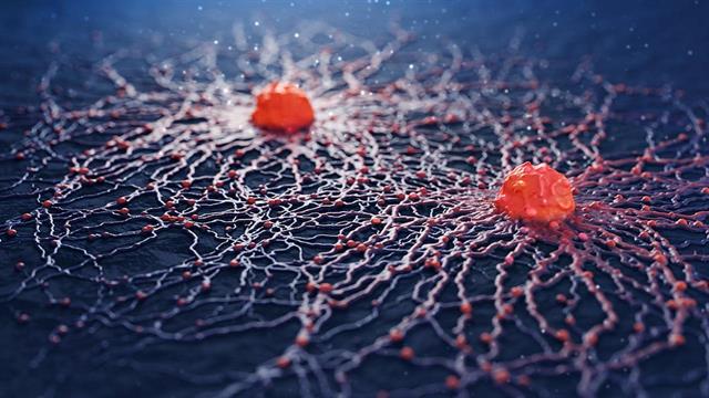 Καρκίνος του παχέος εντέρου: Πρώιμα συμπτώματα και ενδείξεις