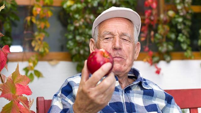 Μήλα και βατόμουρα κατά της ευθραυστότητας