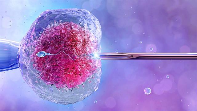 H νέα εταιρεία