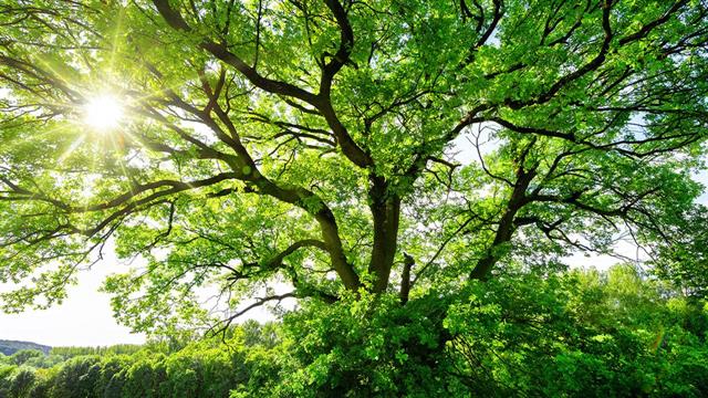 Το περιβάλλον και η προστασία του κεντρική πολιτική του ΕΚΠΑ