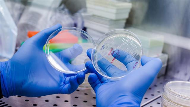 Πανελλήνιο ρεκόρ στις μεταμοσχεύσεις αιμοποιητικών κυττάρων πέτυχε το Παπανικολάου