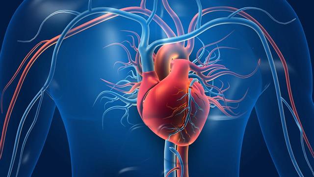 Πειραματικό φάρμακο για τον καρκίνο είναι πιθανό να επιβραδύνει τη φλεγμονή που συνδέεται με καρδιοπάθεια