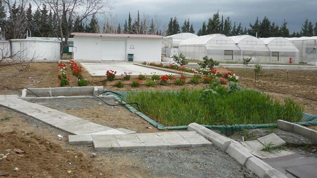 Στήνονται οι πρώτες “βιοκλίνες” ανάσχεσης της ρύπανσης από γεωργικά φάρμακα στην Ελλάδα