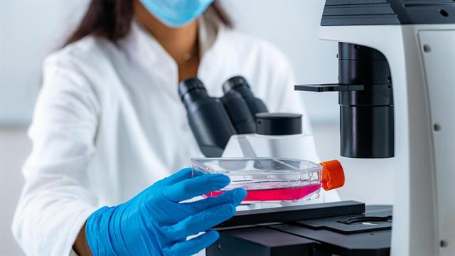 L’Oréal-UNESCO: Γιορτάζοντας 25 χρόνια στην ενδυνάμωση των γυναικών στην επιστήμη