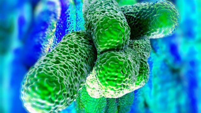 Nόσος των λεγεωνάριων: Αύξηση των κρουσμάτων σύμφωνα με το ECDC