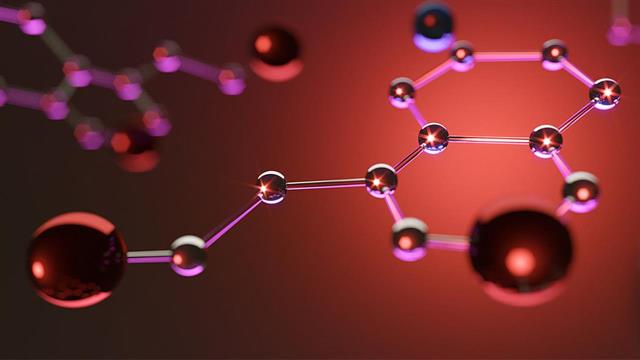 Ποια είναι η πρωτεΐνη που προσφέρει μακροζωία