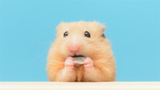 Καναδάς: Επίσημη απαγόρευση δοκιμής καλλυντικών σε ζώα