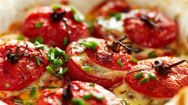 Γεμιστά: Ποια είναι η διατροφική τους αξία