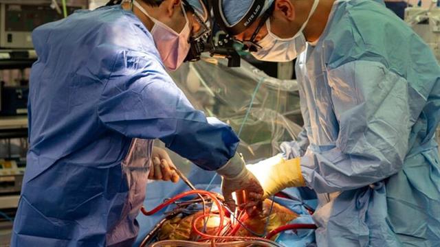 Έλληνας γιατρός στις  ΗΠΑ πραγματοποίησε πρωτοποριακή διπλή επέμβαση καρδιάς – νεφρού