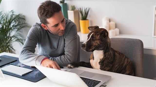 Η τεχνητή νοημοσύνη θα μπορούσε σύντομα να μας βοηθήσει να επικοινωνούμε με τα ζώα