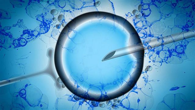 Δημογραφικό πρόβλημα: Πόσο μπορεί να βοηθήσουν οι τεχνικές υποβοηθούμενης αναπαραγωγής;