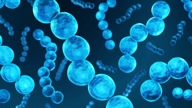 Τι προκαλεί στην υγεία μας ο Β-Αιμολυτικός στρεπτόκοκκος της ομάδας Α (GAS)