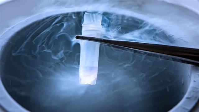 Αρχή Υποβοηθούμενης Αναπαραγωγής: Θα διαφυλαχθεί το υλικό της Τράπεζας Κρυοσυντήρησης στα Χανιά