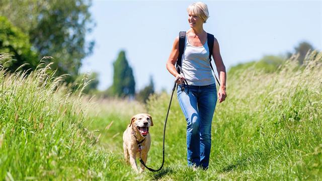 Περπάτημα εναντίον... εμμηνόπαυσης