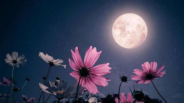 Δυσειδαιμονίες και χειρουργικές επεμβάσεις