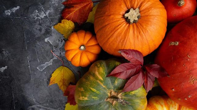 Τα οφέλη της κολοκύθας στην υγεία