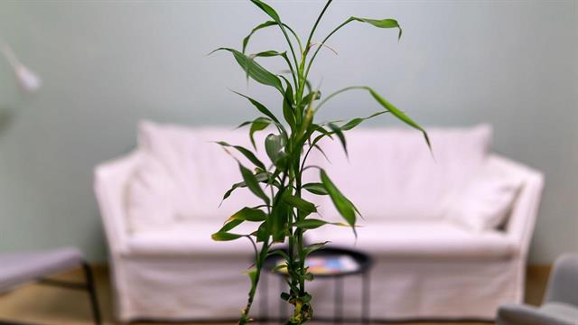 Μονάδα Ολοκληρωμένης Υποστήριξης για παιδιά, εφήβους και νεαρούς ενήλικες που νόσησαν με καρκίνο