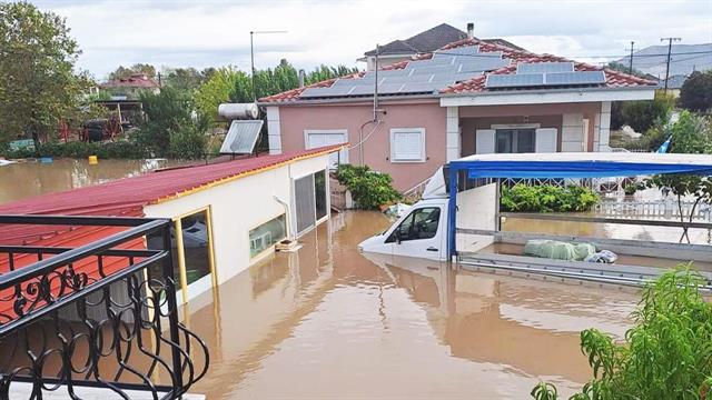 Αγαπηδάκη: Ελλοχεύει ο κίνδυνος λεπτοσπείρωσης στη Θεσσαλία