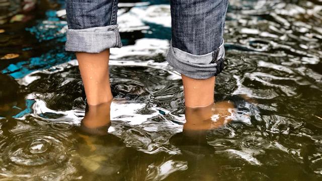 Λεπτόσπειρα: Η κλιματικη αλλαγή ευνοεί την εμφάνισή της