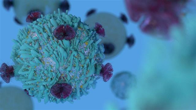 Η έλλειψη αμυντικών κυττάρων του ανοσοποιητικού προκαλεί φλεγμονώδεις νόσους του εντέρου