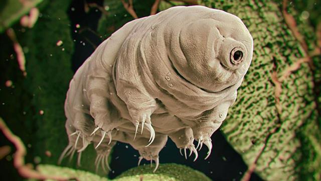 Η ακραία Μικροβιολογία ως οδηγός στην αναζήτηση εξωγήινης ζωής