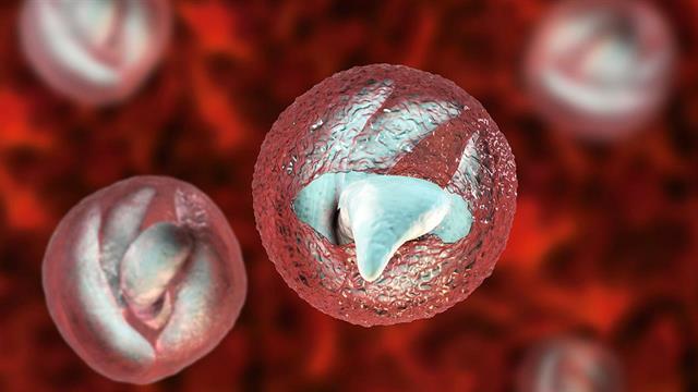 ECDC: Αύξηση κρουσμάτων κρυπτοσποριδίωσης -  Πώς μεταδίδεται και πόσο επικίνδυνη είναι