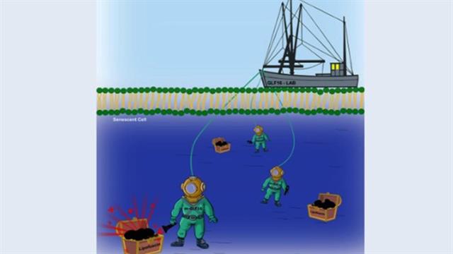 Πρωτοποριακή έρευνα Ελλήνων επιστημόνων, ανοίγει τον δρόμο για εξατομικευμένη θεραπεία του καρκίνου