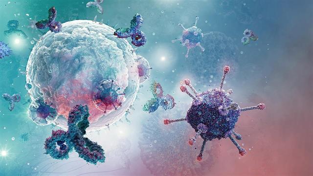 Επιστήμονες βρήκαν αναστολέα κατά της υπερβολικής ανοσολογικής αντίδρασης