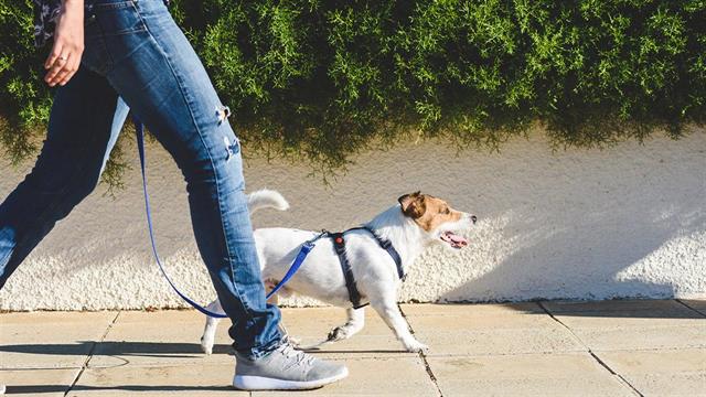 Περίπου 22 λεπτά άσκησης την ημέρα είναι πιθανό να αναστρέφουν τη βλάβη από την καθιστική ζωή [μελέτη]