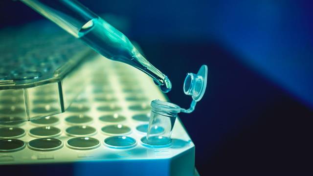 Ερευνητές μείωσαν τα συμπτώματα του διαβήτη σε ποντίκια και ανθρώπινα κύτταρα