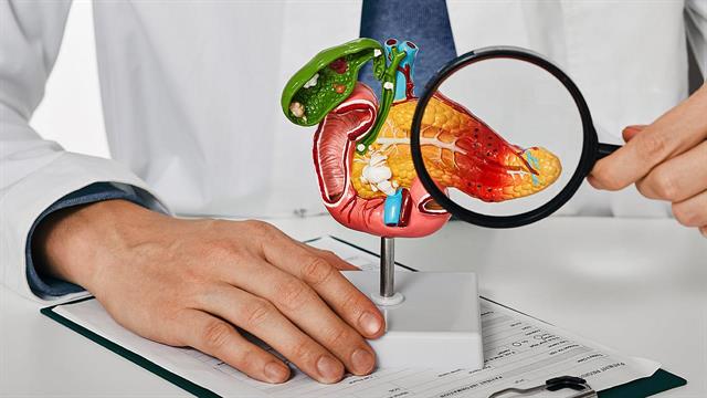 Καρκίνος παγκρέατος: Συστατικό-μίμος επιβραδύνει τη νόσο