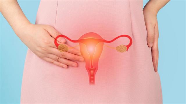 Τρισδιάστατη υπερηχογραφική απεικόνιση ωοθυλακίων μέσω Τεχνητής Νοημοσύνης - 3DfollicleAI