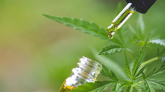 H κανναβιδιόλη δεν βοηθά στην καταπολέμηση του πόνου (μελέτη)