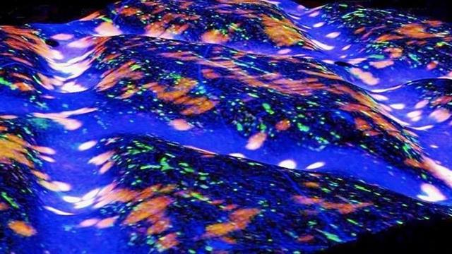 Η δισκοκήλη θα μπορούσε να επιδιορθώνεται μελλοντικά με βιολογικό επίθεμα