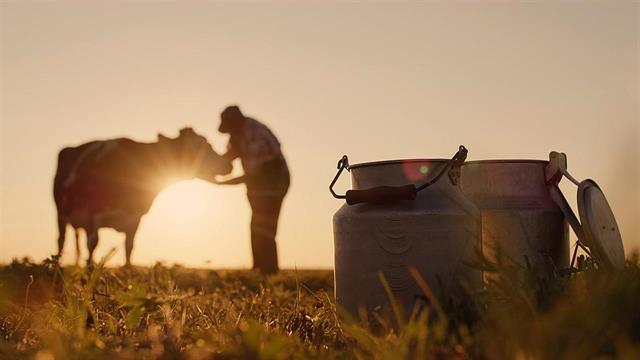 ΕΜΑ: Ιστορική μείωση στις πωλήσεις κτηνιατρικών αντιβιοτικών στην Ευρώπη